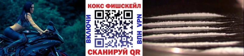 COCAIN Fish Scale  купить   Великий Новгород 