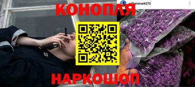 гидра Апшеронск