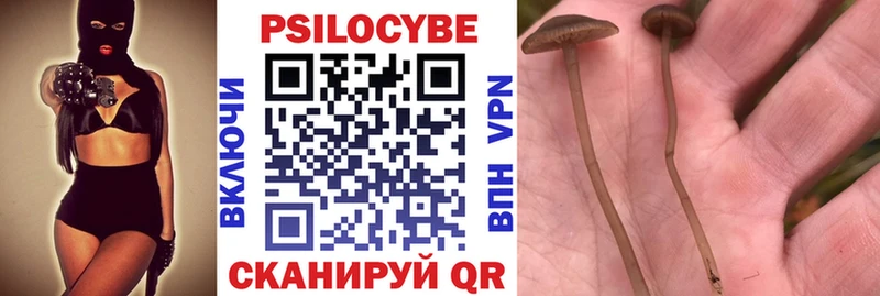 Псилоцибиновые грибы MAGIC MUSHROOMS  OMG онион  Великий Новгород 