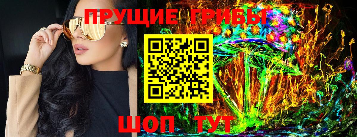 Псилоцибиновые грибы Psilocybine cubensis Великий Новгород