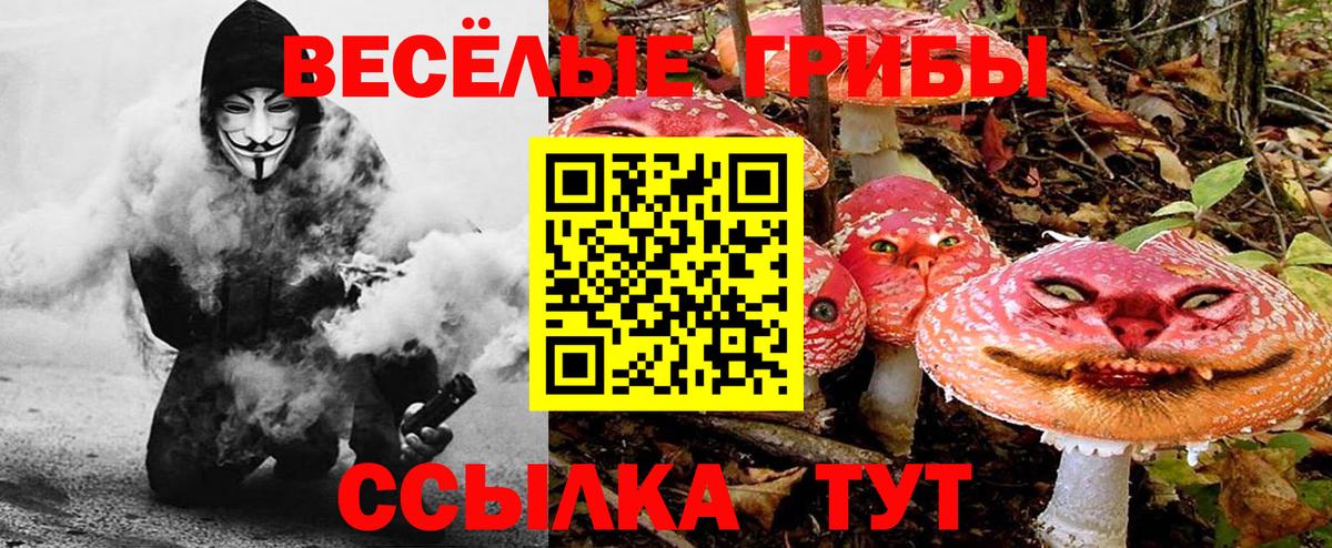 Великий Новгород  Галлюциногенные грибы мухоморы  Вход с VPN 