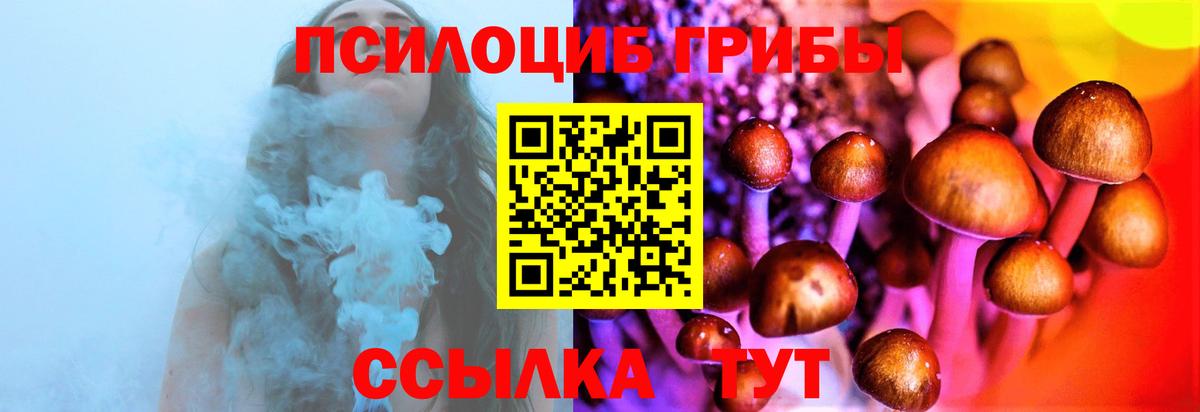 Галлюциногенные грибы прущие грибы Великий Новгород